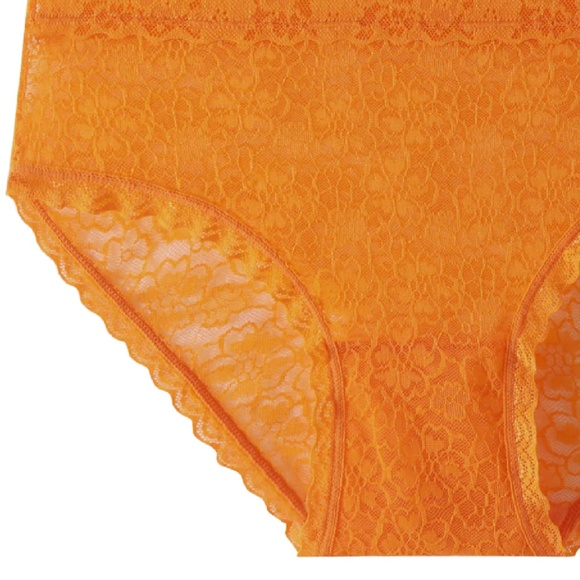 SOLD - Splendies Orange CLEMENTINA LACE BIKINI High Leg Brief Panties 4X New - Picture 2 of 11